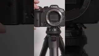 The Difference is Incredible! Canon R7 vs R8￼