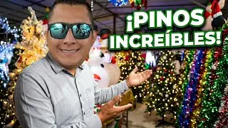 ¡Descubre los mejores pinos de Navidad en el tianguis de los MUROS!