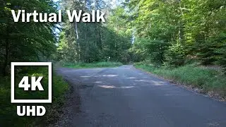 15-minute Hike Virtual Walk | 4K UHD Stereo | no Music | Palatinate Forest | 57