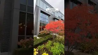 Touring a $1.2M Toronto Condo Townhouse: Smart Home Tech & More