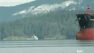 Navy Ship  HMCS Moose 62