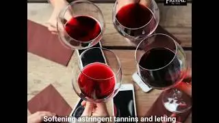 Best Red Wine Accessories 2019