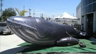 INFLATABLE-HUMPACK-WHALE