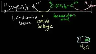 S2.4.6 Formation of Condensation Polymers: Polyamides [HL IB CHEMISTRY]