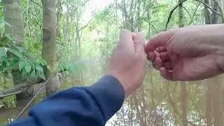 di Spot Lama, Mancing Ditemani si Onyet sedang Bermain di atas Kepala