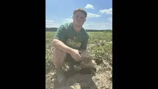 Brayden Hearn ~ 2026 Horizon Farm Credit Foundation for Agricultural Advancement Scholarship