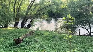 &ldquo;Real-Time Spring Nature Walk | No Music, No Commentary&rdquo;