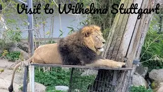 Exploring Wilhelma Zoo Stuttgart | Germany&rsquo;s Unique Zoological-Botanical Garden! 4K