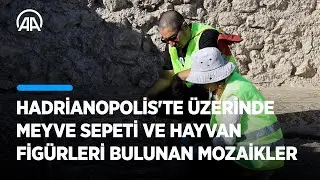 Hadrianopolis'te üzerinde meyve sepeti ve hayvan figürleri bulunan mozaikler ortaya çıkarıldı