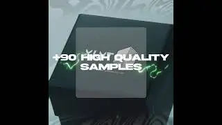 +90 Free Samples & Presets for Future House, Bass House | The Box x XLNT