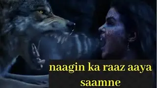 Aakhir ghuspethiyo ko naagin ka pta chal hi gya....