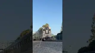 Huge horn show from AMTK 6904! Funky k5la