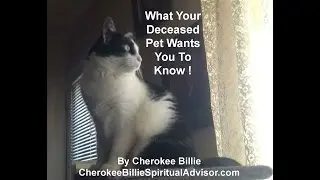 What Your Deceased Pet Wants You To Know After Life! By Cherokee Billie