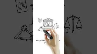 What Are The 3 Branches of Government?