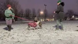 Dietrich + Declynn Leash Test 