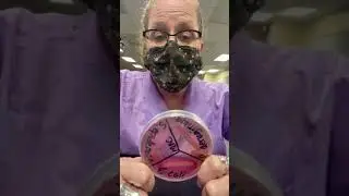 MacConkey Agar