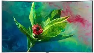 Top 5 QLED | OLED TV 2019