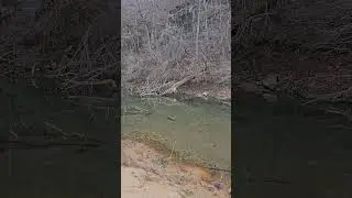 Hiking Down An Ozark Mountain In Winter #hiking #crunchingsounds #trekking #nature #shorts #asmr