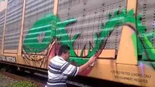 Graffiti y trenes la kosta rifa