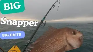 Stray line Big Snapper