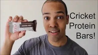 A More Sustainable Protein Bar