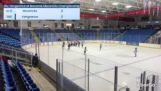 XbotGo Live Stream