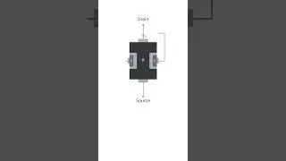 Physical Topology of a JFET