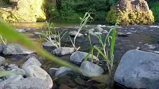 Night River Sounds | Water Flow Under Moonlight for Sleep