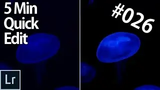 Jellyfish Editing in Lightroom - Lightroom 5 min Quick Edit #026