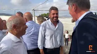 Corte del primer racimo de Uva de Mesa Embolsada del Vinalop&oacute; 2024 Novelda Digital