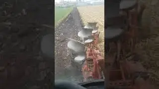 Zetor 7211 orka po kukurydzy pług 3-skibowy obrotowy