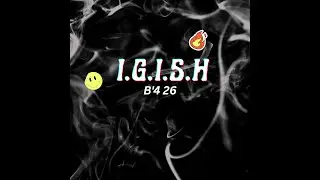 20 wingz freestyle