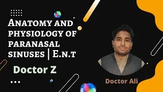 Anatomy and Physiology of Paranasal sinuses | Dr Ali | Doctor Z