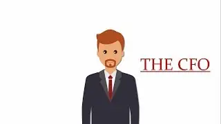 Televisory  CFO Profile