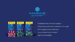 Tropical - Marine Power - CORAL FOOD LPS MINI GRANULES - Faunelia