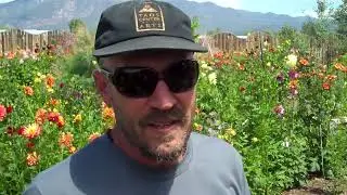 New Mexico's Freshest Dahlia Garden, The Floral Pride and Joy of Taos