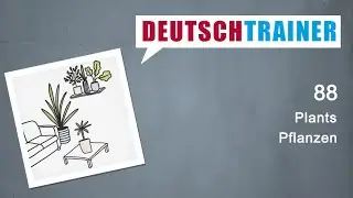 German for beginners (A1/A2) | Deutschtrainer: Plants