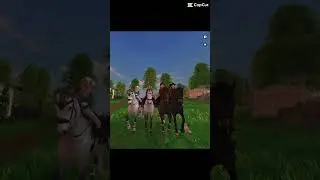 Tyy ihr drei❤️ #edit #sso #starstable #viral
