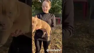 Микро булли девочка лиловая 📲  