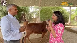 Gir Amritphal Farm Making of Kachi Ghani Cold Pressed Oil with Kohlu
