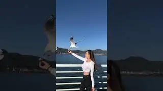Em Poses A 100 Remix Hit Hot Tik Tok G&aacute;i Xinh