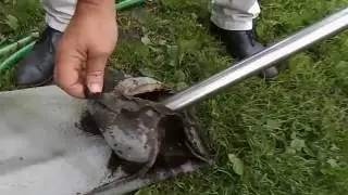 BROWAR DO AKTYWNEGO HUMUSU