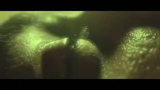 Almost | Student Short Film on Road Safety