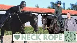 Introducción al Neckrope/Bitless, montando a Liberty sin brida 😱✨ clase con Uprah Horse Healing! ⚠️