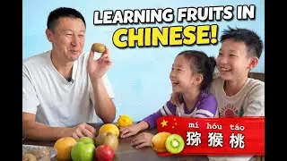 Fruit names in Chinese for kids | 西红柿,苹果,柚子,猕猴桃,柠檬