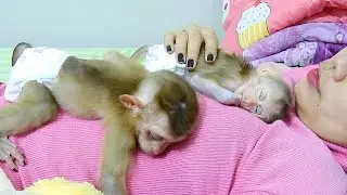 Both Lovable JULIE & POLEE Cuddle Mommy To Sleep Soundly.