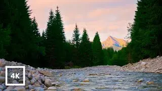 4K Evening Mountain Creek with Birdsong | River Sounds | Nature Ambience for Sleep & Relaxing