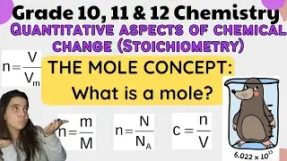 The mole concept: What is a mole? Quantitative aspects of chemical change