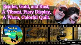 Scarlet, Gold, and Rust, A Vibrant, Fiery Display, A Warm Colorful Quilt | Smileys Provincial Park