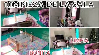 Limpieza de mi Vanity y de la la sala mi casa acogedora+cosine pescado 🐟 #minivlog 